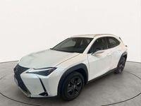 Usata Lexus UX 250h 145 CV (106 kW) 2024 Bianco SUV