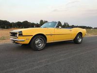 Usata Chevrolet Camaro SS 254 CV (186 kW) 1968 Giallo Cabrio