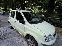 Usata Fiat Panda 60 CV (44 kW) 2006 Verde Utilitaria