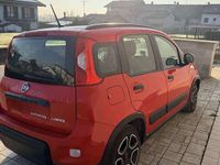 Usata Fiat Panda Cross Cross 69 CV (50 kW) 2022 Utilitaria