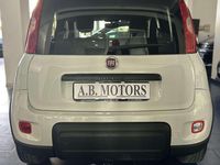 Usata Fiat Panda S 69 CV (50 kW) 2023 Bianco Utilitaria