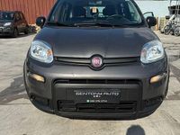Usata Fiat Panda City Life 70 CV (51 kW) 2022 Grigio Utilitaria