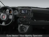 Usata Fiat Panda S 70 CV (51 kW) 2024 Nero Utilitaria