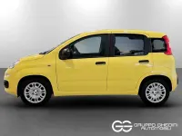 Nuova Fiat Panda 65 CV (47 kW) 2026 Giallo Utilitaria