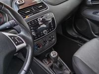 Usata Fiat Punto Lounge 85 CV (62 kW) 2015 Bianco Utilitaria