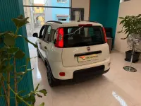 Usata Fiat Panda Cross Cross 69 CV (50 kW) 2021 Bianco Utilitaria