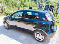 usata Fiat Punto 1.2 Benzina 2014 - 5 porte neopatentati