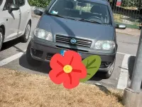 Usata Fiat Punto 80 CV (58 kW) 2003 Grigio Utilitaria