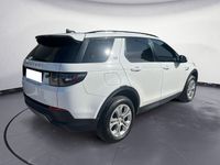 Usata Land Rover Discovery Sport S 150 CV (110 kW) 2021 Bianco SUV