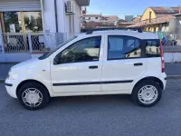 Usata Fiat Panda Dynamic 77 CV (56 kW) 2009 Bianco Utilitaria
