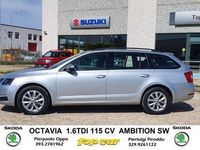 Usata Skoda Octavia Ambition 116 CV (85 kW) 2019 Argento metallizzato Station wagon