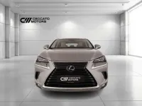 Usata Lexus NX300h Luxury Line 197 CV (144 kW) 2018 Grigio SUV