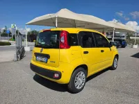 Nuova Fiat Panda S 69 CV (50 kW) 2025 Giallo Utilitaria