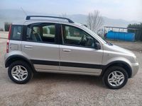 Usata Fiat Panda 80 CV (58 kW) 2007 Grigio Utilitaria