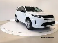 Usata Land Rover Discovery Sport SE Dynamic 163 CV (119 kW) 2023 Bianco SUV