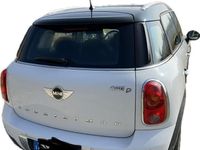 usata Mini Countryman neopatentati