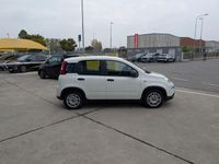 Usata Fiat Panda Comfort 69 CV (50 kW) 2023 Bianco / pastello Utilitaria