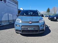 usata Fiat Panda 3ª serie 1.0 FireFly S&S Hybrid City Life