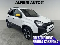 Usata Fiat Panda Cross Cross 69 CV (50 kW) 2025 Rosso Utilitaria