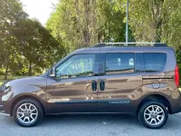 Usata Fiat Doblò Trekking 120 CV (88 kW) 2018 Bronzo met. Monovolume