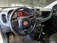 Usata Fiat Panda Easy 84 CV (61 kW) 2018 Bianco Utilitaria