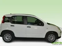 Usata Fiat Panda 70 CV (51 kW) 2023 Bianco Utilitaria
