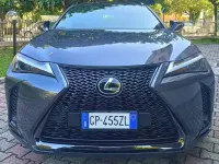 Usata Lexus UX 250h 184 CV (135 kW) 2023 Grigio SUV