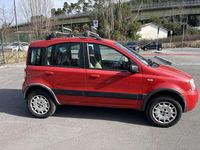 Usata Fiat Panda 4x4 Climbing 60 CV (44 kW) 2006 Utilitaria