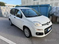Usata Fiat Panda Easy 69 CV (50 kW) 2019 Bianco Utilitaria
