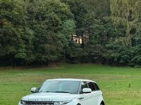 usata Land Rover Range Rover evoque Range Rover Evoque 2.0D I4 150CV AWD Business Edit. Premium