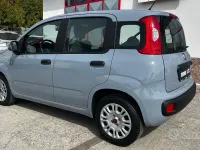 Usata Fiat Panda Easy 69 CV (50 kW) 2019 Grigio Utilitaria