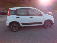 Usata Fiat Panda Street 71 CV (52 kW) 2021 Bianco Utilitaria