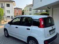 Usata Fiat Panda Easy 69 CV (50 kW) 2018 Bianco Utilitaria