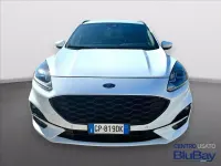 Usata Ford Kuga ST-Line 150 CV (110 kW) 2023 Frozen white SUV