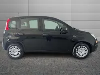 Usata Fiat Panda Cross Cross 69 CV (50 kW) 2025 Nero Utilitaria