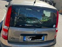 Usata Fiat Panda Dynamic 60 CV (44 kW) 2007 Bronzo Utilitaria