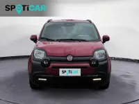 Usata Fiat Panda Cross Cross 69 CV (50 kW) 2025 Rosso Utilitaria