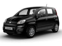 Nuova Fiat Panda S 69 CV (50 kW) 2025 Nero Utilitaria