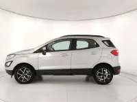 Occasion Ford Ecosport Business Edition 125 ch (91 kW) 2019 Gris SUV