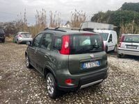 Usata Fiat Panda 4x4 75 CV (55 kW) 2014 Verde Utilitaria