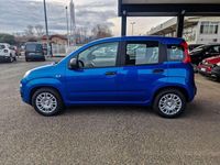 Nuova Fiat Panda Icon 69 CV (50 kW) 2025 Blu/azzurro Utilitaria