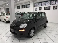 Usata Fiat Panda Easy 69 CV (50 kW) 2019 Nero Utilitaria