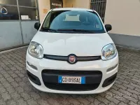 Usata Fiat Panda Easy 69 CV (50 kW) 2020 Bianco Utilitaria