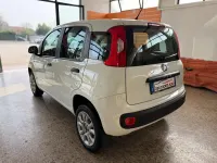 Usata Fiat Panda Easy 80 CV (58 kW) 2017 Bianco Utilitaria