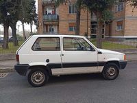 Usata Fiat Panda Young 39 CV (28 kW) 1999 Bianco Berlina