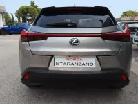 Usata Lexus UX 152 CV (111 kW) 2020 Grigio SUV