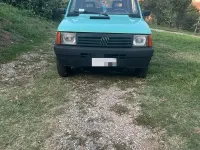 Usata Fiat Panda 4x4 Club 54 CV (39 kW) 1998 Verde Utilitaria