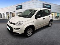Usata Fiat Panda S 70 CV (51 kW) 2023 Bianco Utilitaria