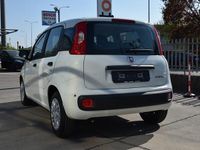 Nuova Fiat Panda Icon 65 CV (47 kW) 2026 Bianco gelato pastello Utilitaria