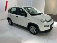Usata Fiat Panda S 69 CV (50 kW) 2023 Bianco Utilitaria